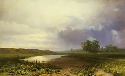 Wet Meadow
